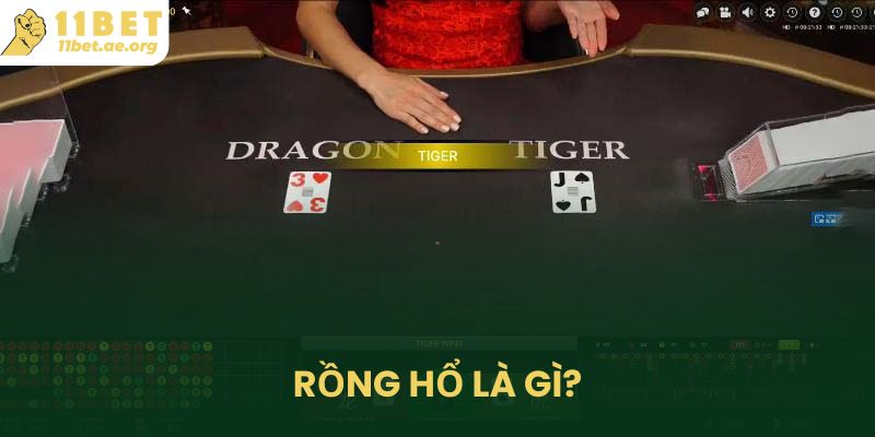 Rồng Hổ là gì?
